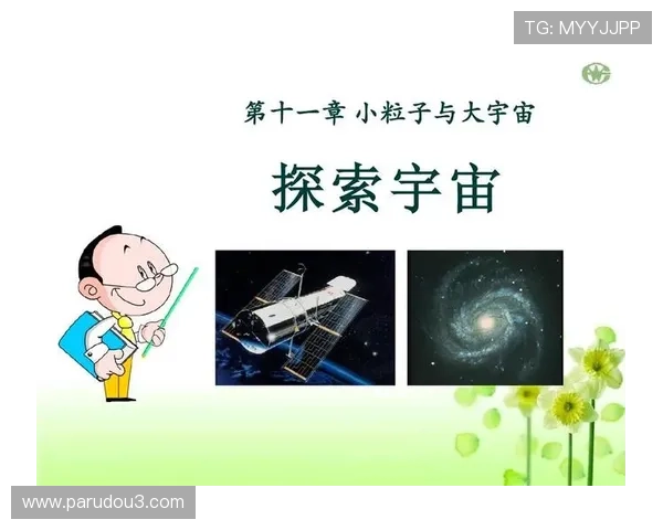 探索星空网官网登录入口入口流程详细解析与使用技巧